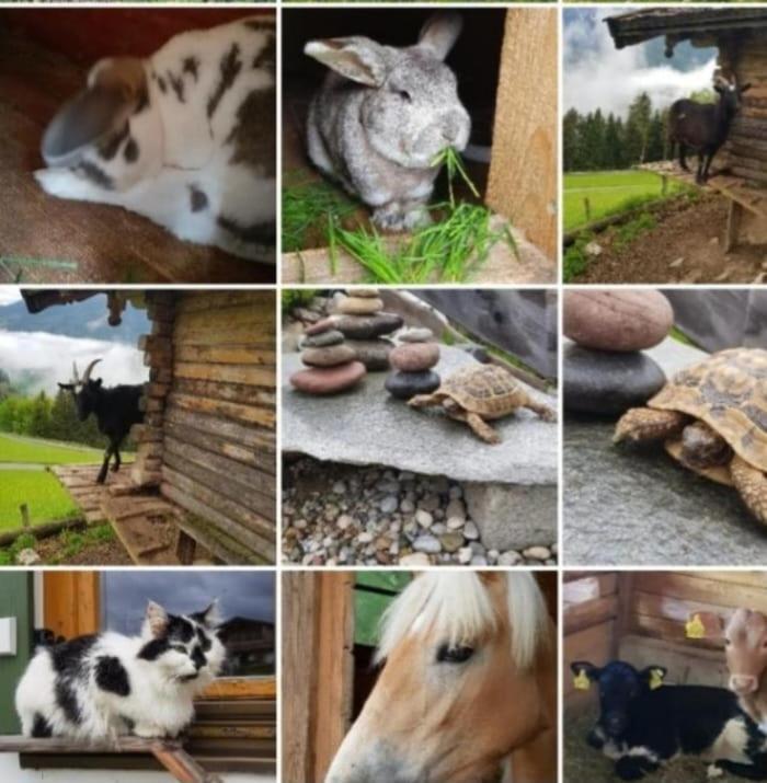 Ettlerlehen Chalets Ramsau bei Berchtesgaden Kültér fotó