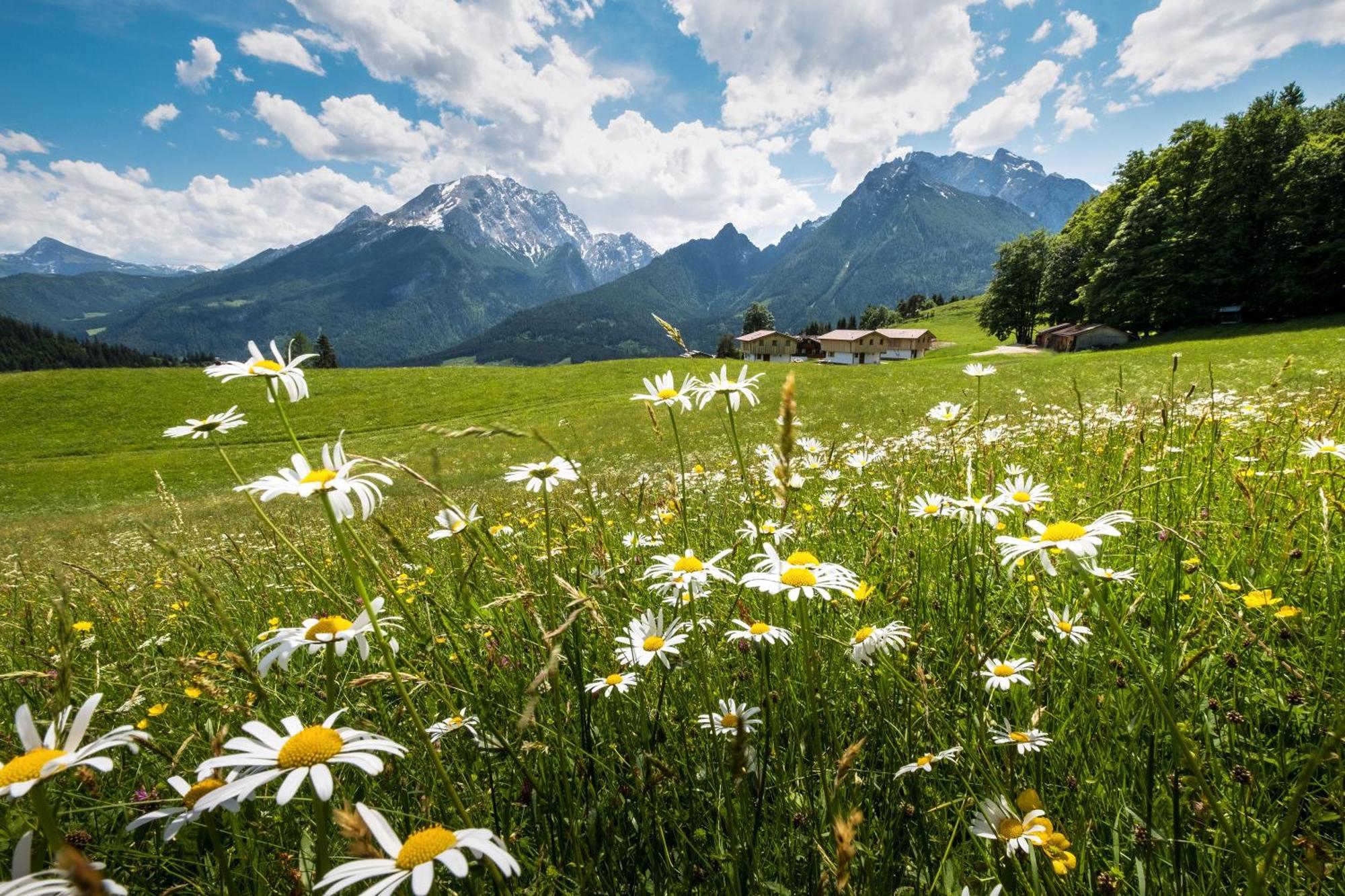 Ettlerlehen Chalets Ramsau bei Berchtesgaden Kültér fotó
